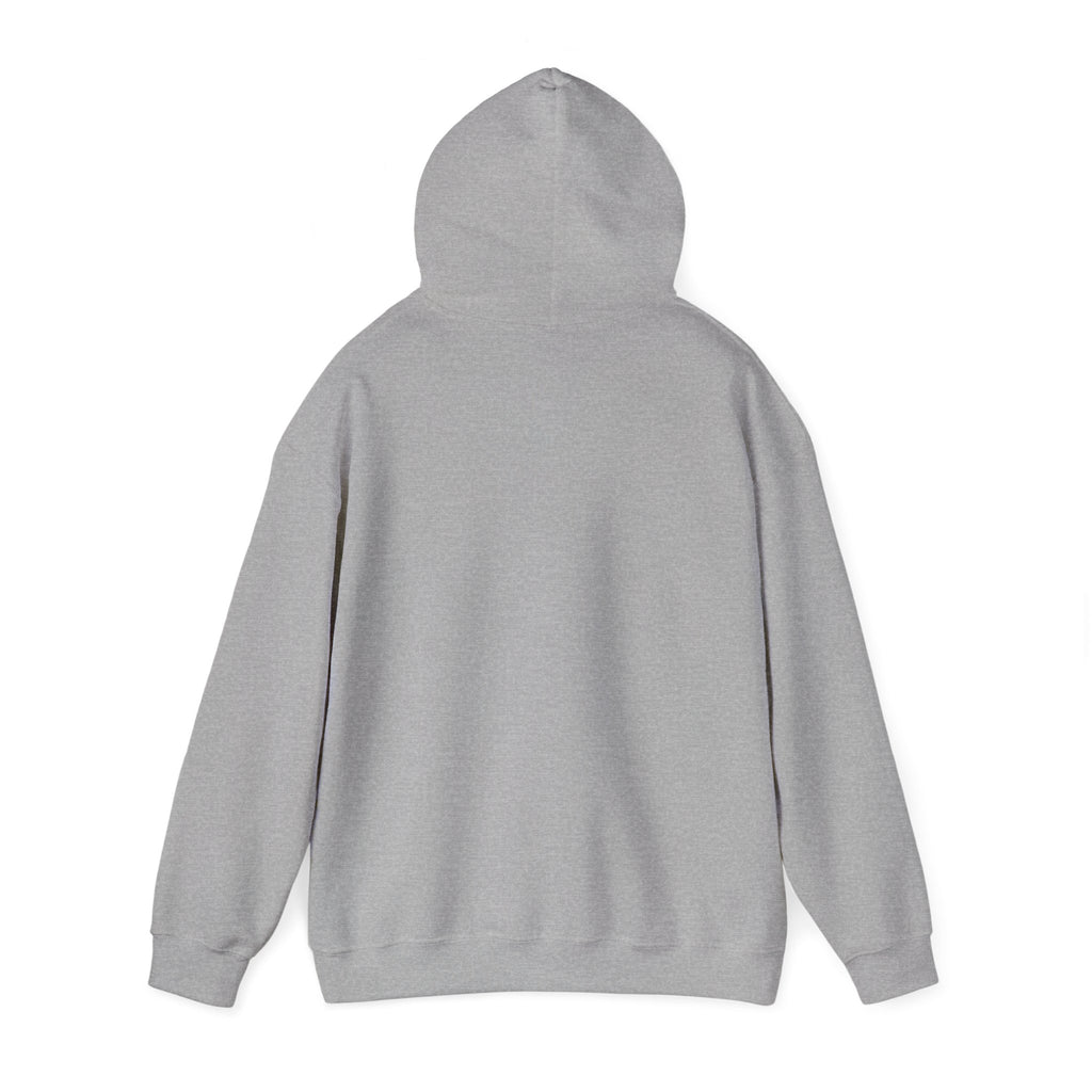 Hoodie — "Wanna See My Shaft" Funny Golfing Graphic Pullover