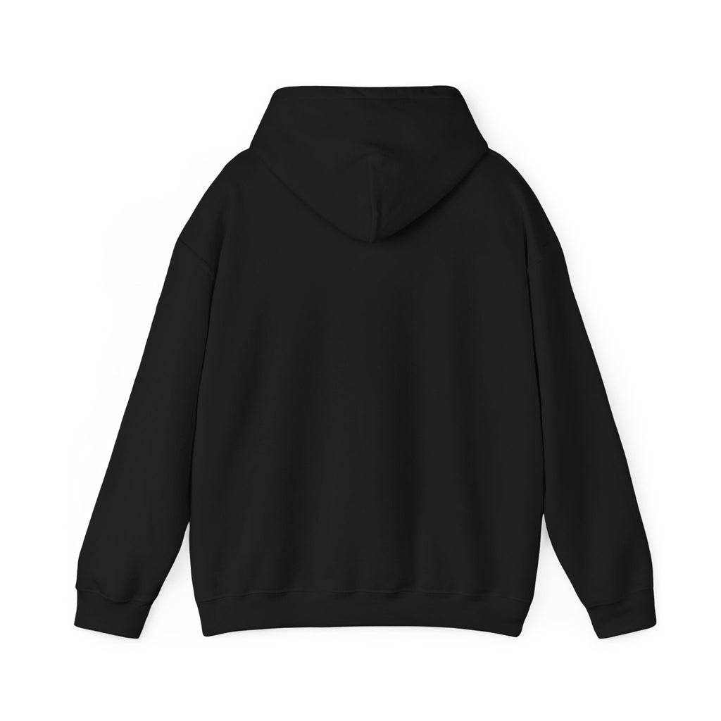 Hoodie — "Wanna See My Shaft" Funny Golfing Graphic Pullover