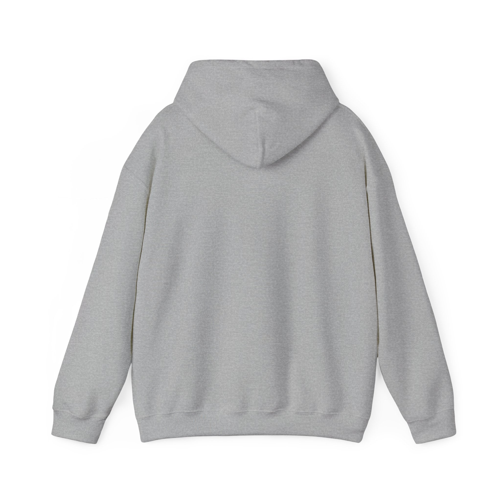 Hoodie — "Wanna See My Shaft" Funny Golfing Graphic Pullover