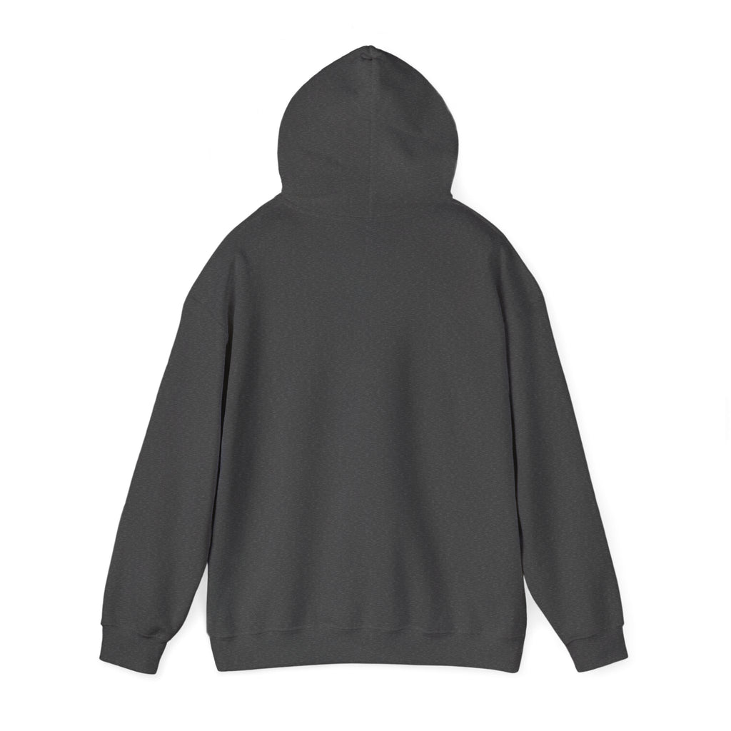 Hoodie — "Wanna See My Shaft" Funny Golfing Graphic Pullover