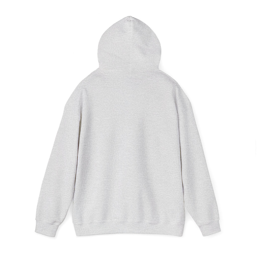 Hoodie — "Wanna See My Shaft" Funny Golfing Graphic Pullover