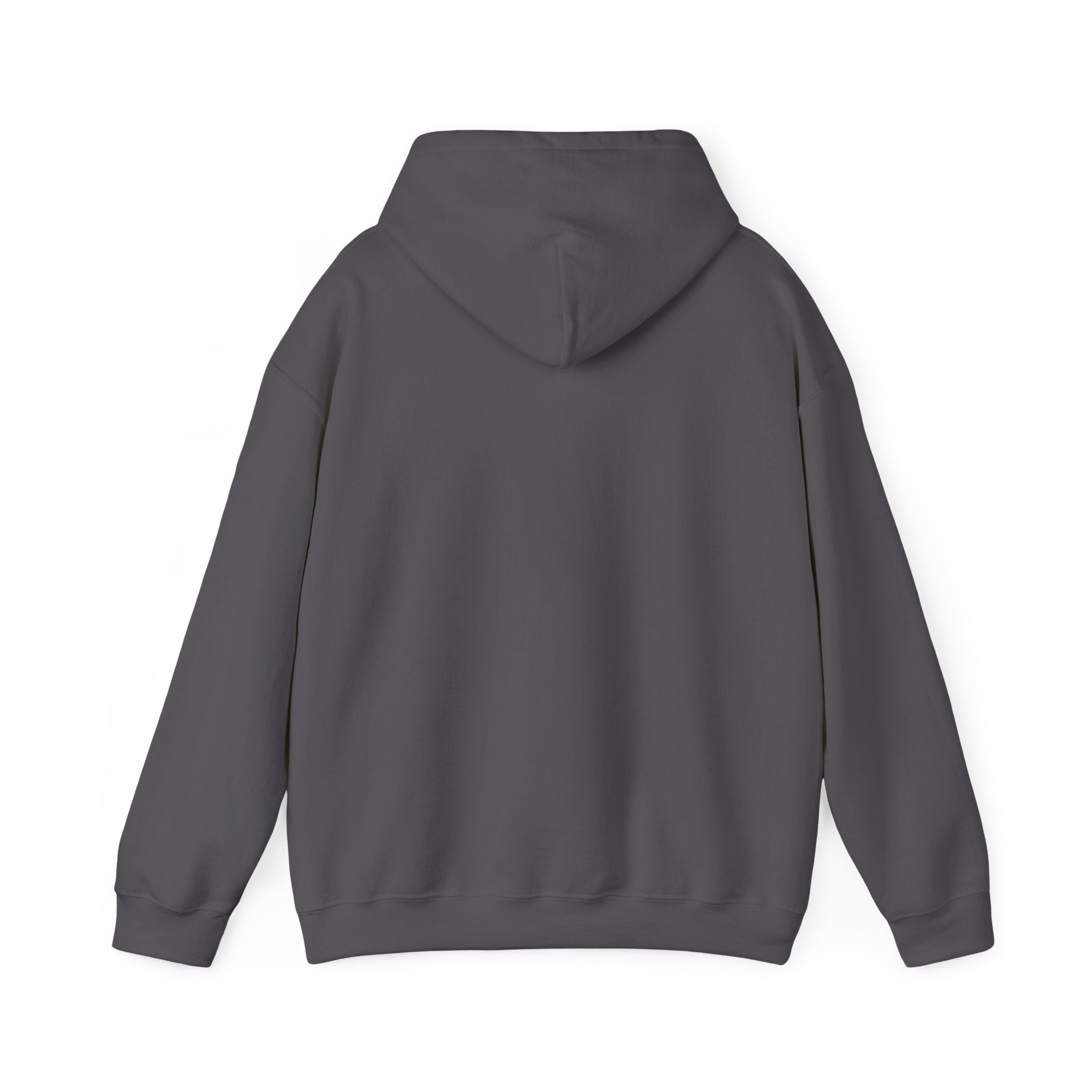 Hoodie — "Wanna See My Shaft" Funny Golfing Graphic Pullover